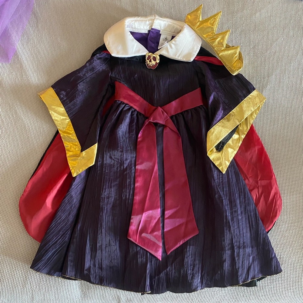 Disney Evil Queen Costume